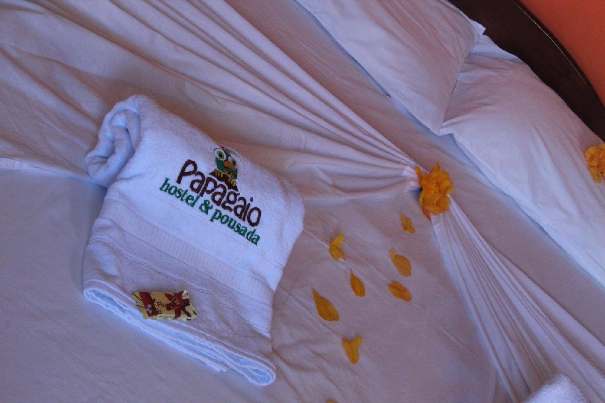 Papagaio Hostel & Pousada Morro de Sao Paulo Bilik gambar